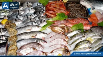 أسعار السمك بسوق العبور ترتفع اليوم الأربعاء مع تزايد تكلفة المرجان